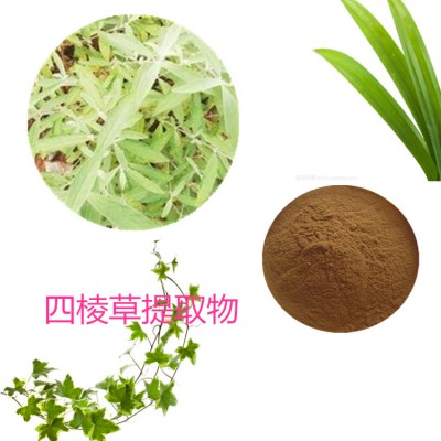 四棱草提取物 四棱草粉 四棱草速溶粉 四棱草浸膏粉