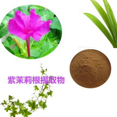 紫茉莉根提取物  紫茉莉根速溶粉 紫茉莉根浸膏粉