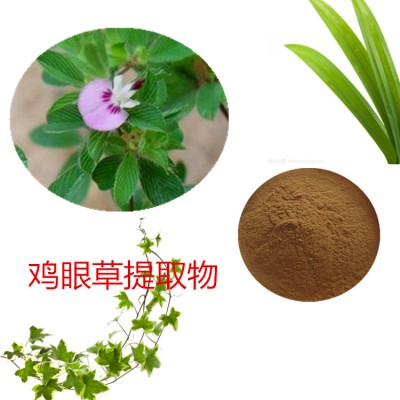 鸡眼草提取  鸡眼草粉 鸡眼草速溶粉 鸡眼草浸膏粉