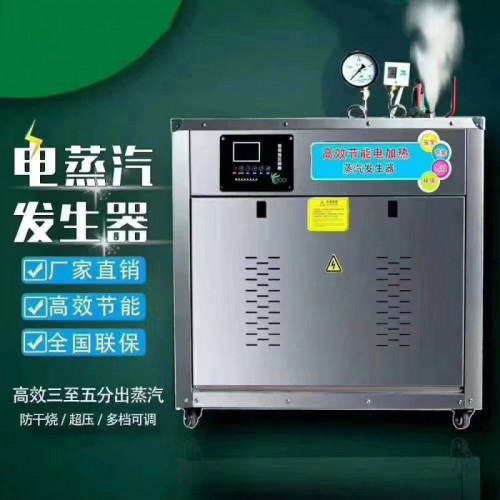 电蒸汽发生器 高温蒸汽发生器 小型蒸汽发生器