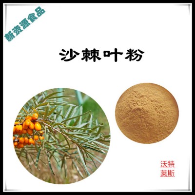 沙棘叶粉 沙棘叶提取物 沙棘叶浸膏 沙棘叶速溶粉