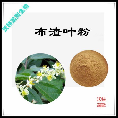 布渣叶粉  布渣叶提取物 布渣叶浸膏 布渣叶提取液