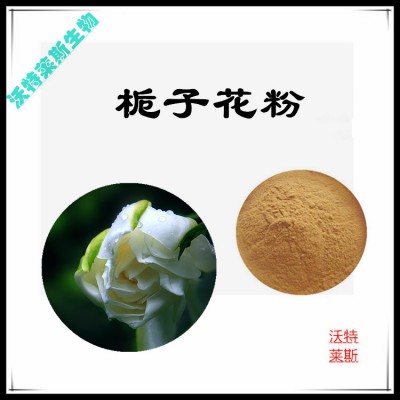 栀子花粉 栀子花提取物  栀子花浸膏  栀子花提取液