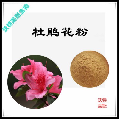 杜鹃花粉  杜鹃花提取物  杜鹃花浸膏  杜鹃花提取液