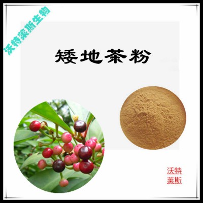 矮地茶粉 矮地茶提取物  矮地茶浸膏 矮地茶提取液