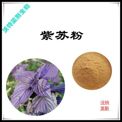 紫苏粉 紫苏提取物 紫苏浸膏 紫苏提取液