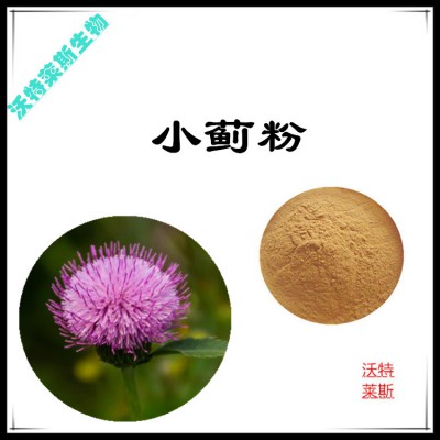 小蓟粉 小蓟提取物 小蓟浸膏 小蓟提取液