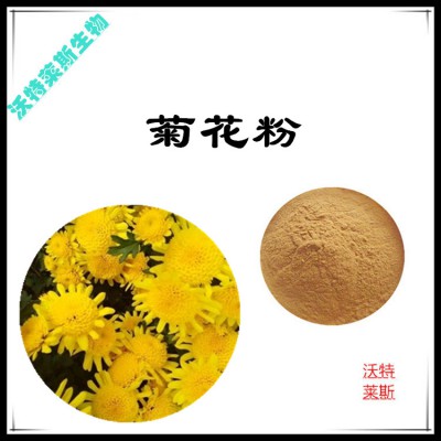 菊花粉 菊花提取物 菊花浸膏 菊花提取液