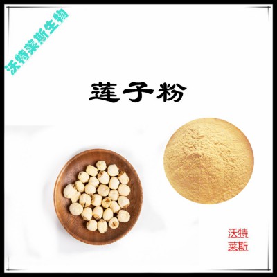 莲子粉 莲子提取物 莲子浸膏 莲子提取液