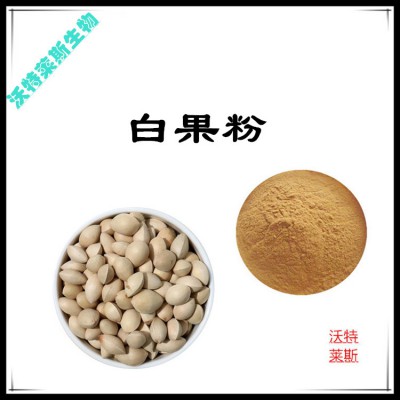 白果粉 白果提取物 白果浸膏 白果提取液