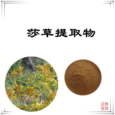 莎草粉 莎草提取物 莎草浸膏 莎草提取液