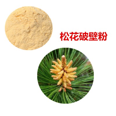 松花粉  松花破壁粉 松花浸膏  松花提取液