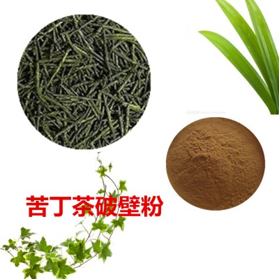 苦丁茶粉  苦丁茶破壁粉 苦丁茶浸膏  苦丁茶提取液