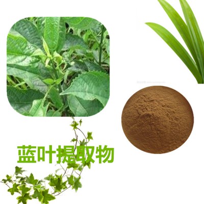 蓝叶速溶粉   蓝叶提取物 蓝叶浸膏 蓝叶浸膏粉