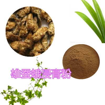 雄蚕蛾浸膏粉  雄蚕蛾提取物  雄蚕蛾粉 雄蚕蛾浸膏