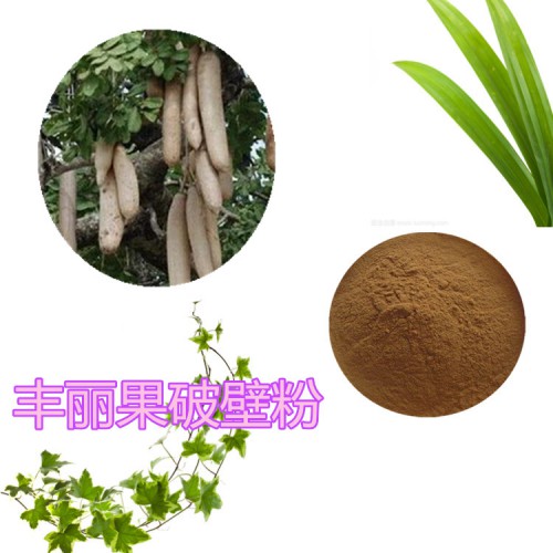 丰丽果破壁粉   丰丽果提取物  丰丽果粉  丰丽果浸膏