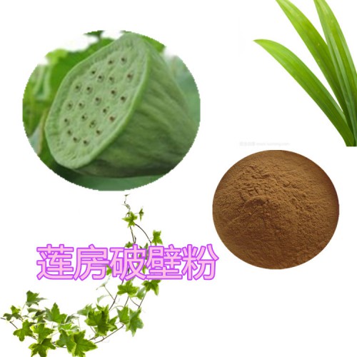 莲房破壁粉   莲房提取物   莲房粉  莲房浸膏