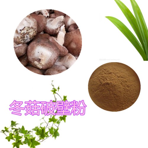 冬菇破壁粉 冬菇提取物  冬菇粉 冬菇浸膏