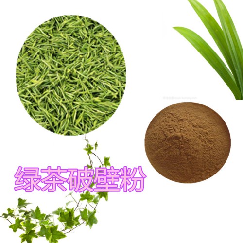 绿茶破壁粉 绿茶提取物  绿茶粉 绿茶浸膏