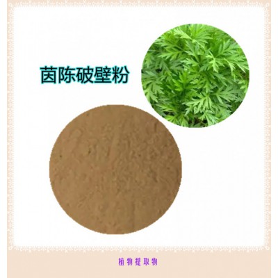 茵陈粉 茵陈破壁粉 茵陈浸膏 茵陈提取液