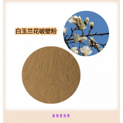 白玉兰花提取物 白玉兰花膏  白玉兰花粉 白玉兰花破壁粉