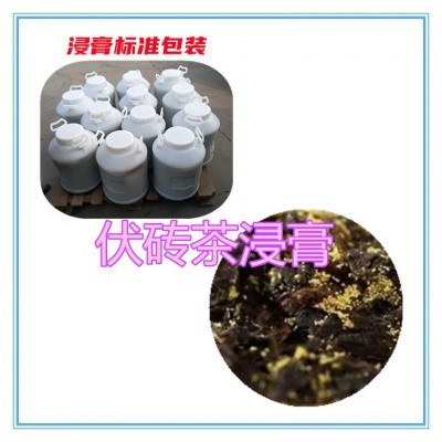 伏砖茶提取物   伏砖茶浸膏 伏砖茶粉 伏砖茶破壁粉