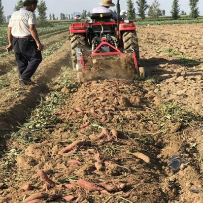 红薯土豆收获机  地瓜洋芋收获机 挖地瓜机型号