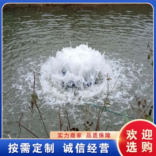 景观喷泉曝气机 涌泉式河道推流 微纳米