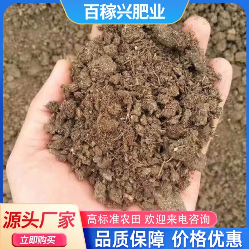 发酵牛粪 腐熟牛粪 干牛粪块 牛粪有机肥