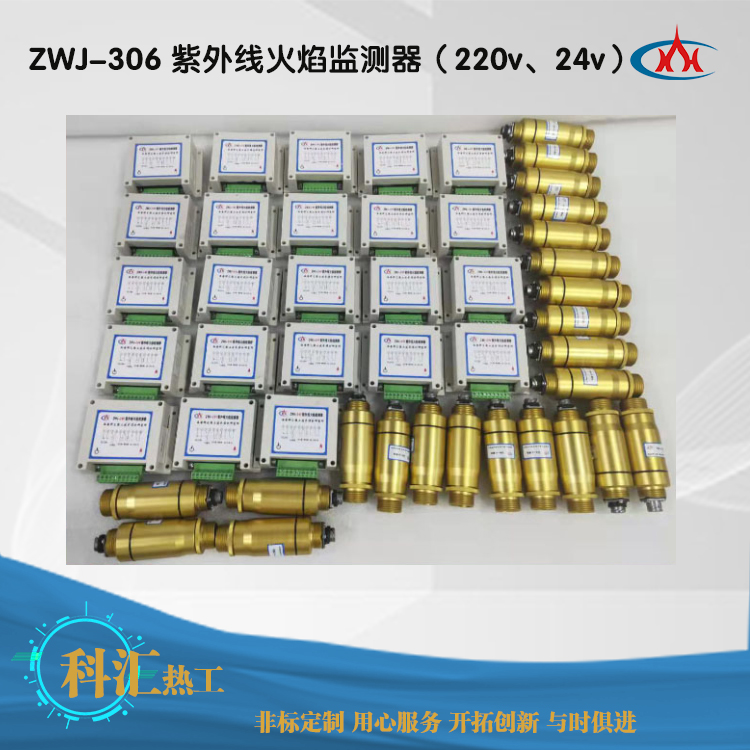 ZWJ-306 紫外线火焰监测器（220v、24v）