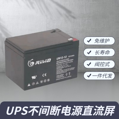 RIMA蓄电池 瑞玛电池