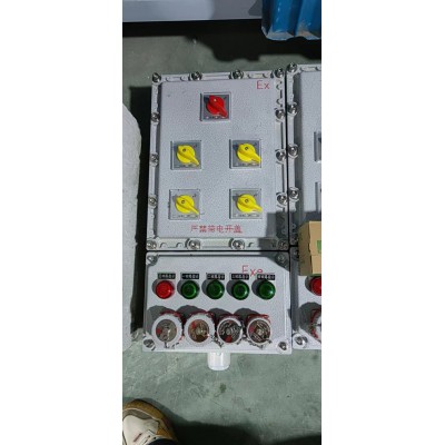 防爆开关箱 防爆开关箱BKX  铝合金材质防爆开关箱