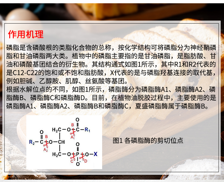 详情_03