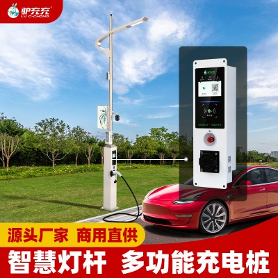 新能源电动汽车 智慧灯杆充电桩 7kw 单枪