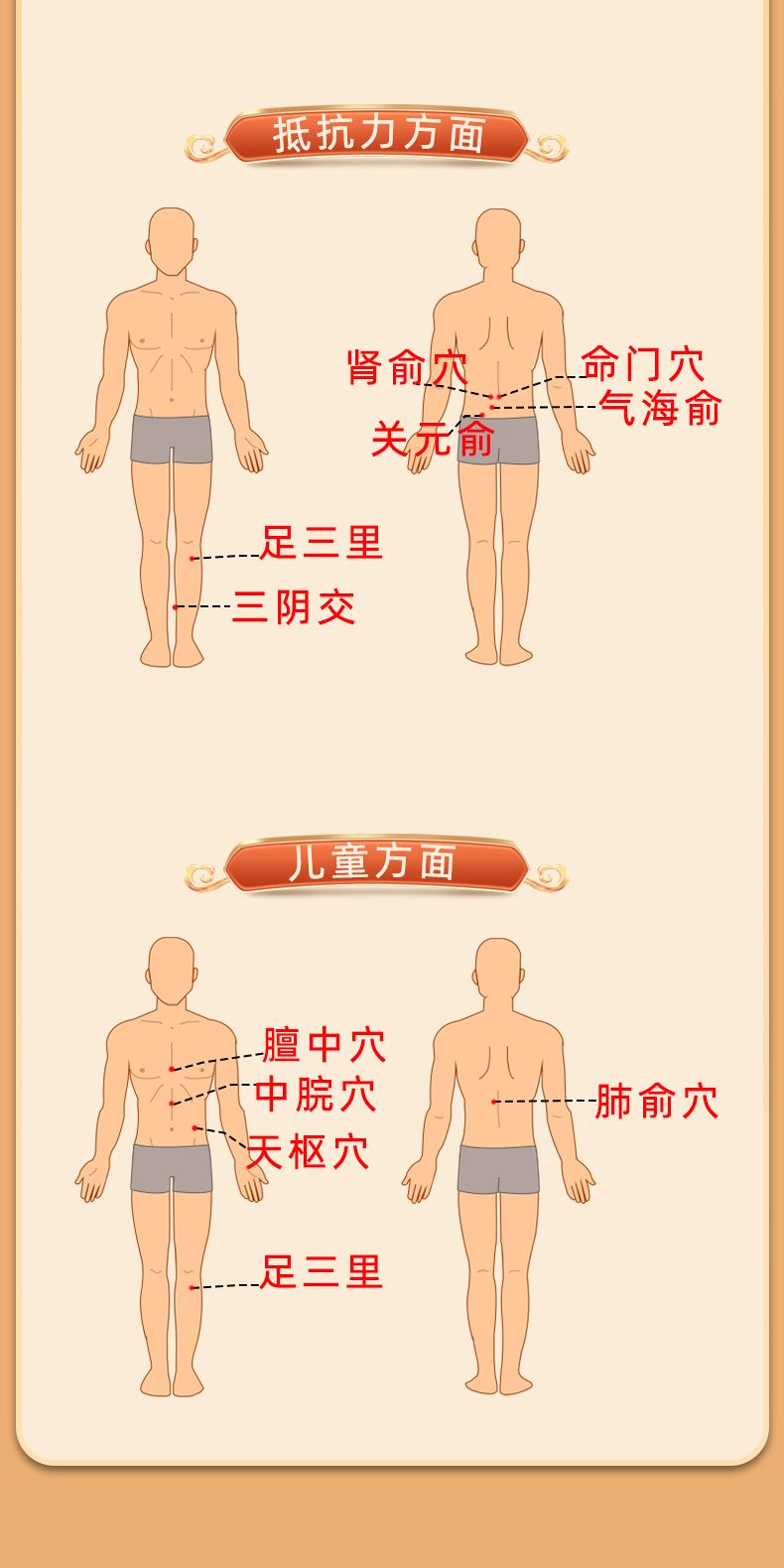 陈济堂--三伏贴--花瓣_07